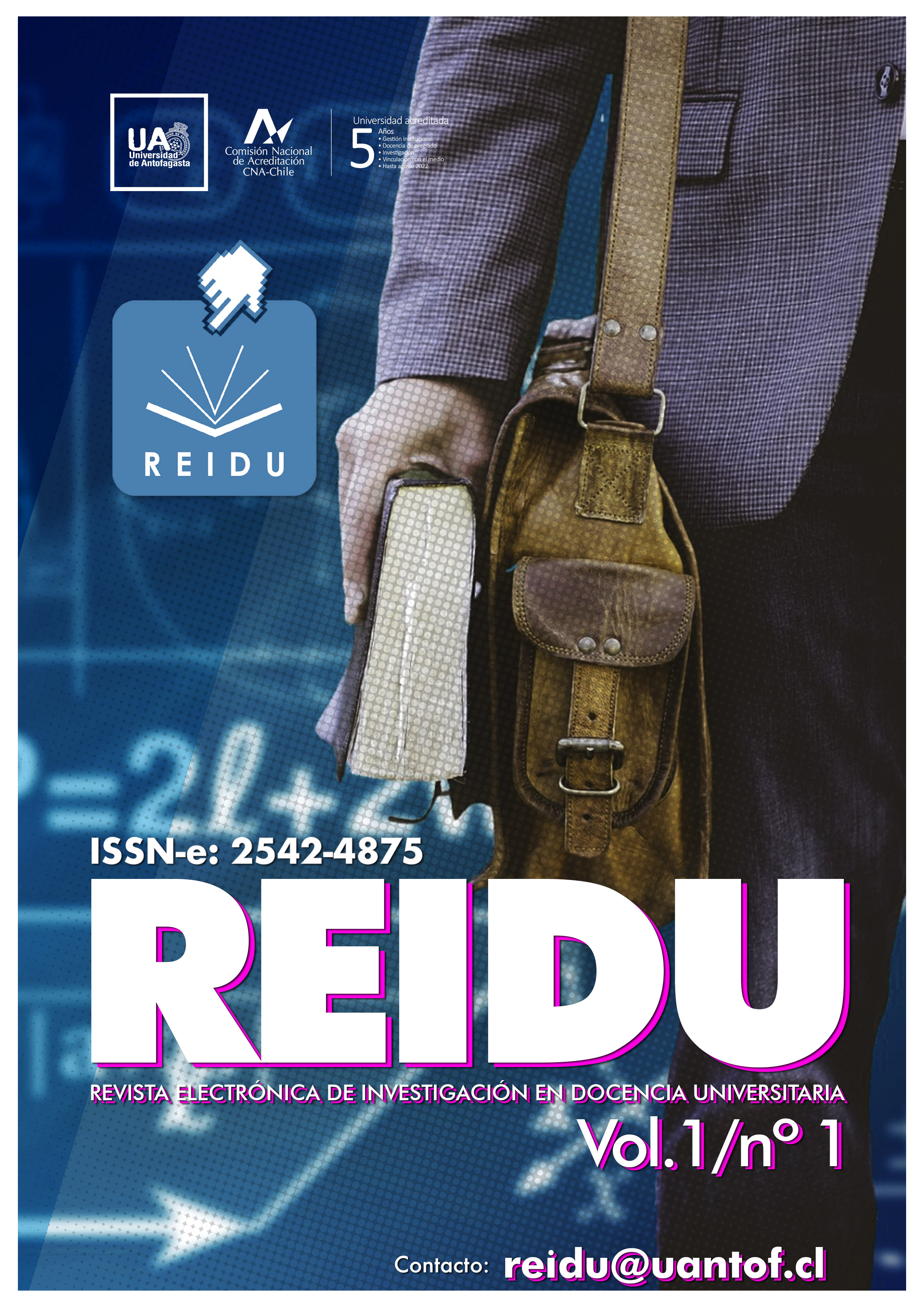 					Ver Vol. 1 Núm. 1 (2019): REIDU
				